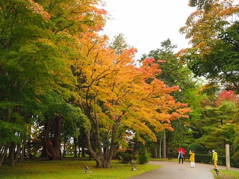 北海道旅行20251026_104837K0660