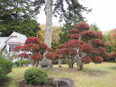 北海道旅行20251026_105655K0676