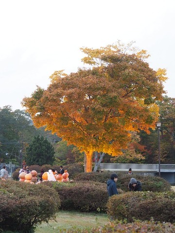 北海道旅行20251025_163221K0509
