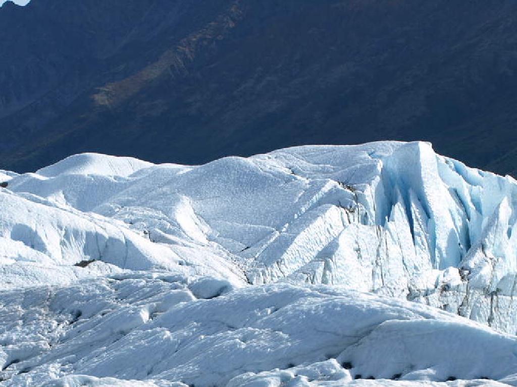 氷河ハイキング Glacier Hike 愛犬散歩 氷河ハイキング Glacier Hike 愛犬散歩