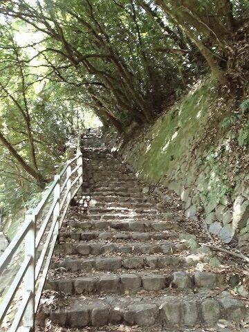 神戸旅行20230517_130600P0093ブログ