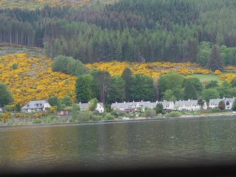 Scotland旅行20240514_131400P0869