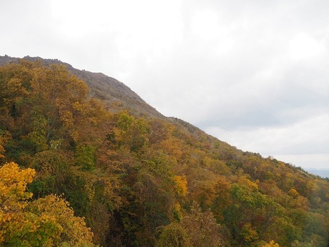 北海道旅行20251025_110407K0368