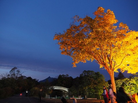 北海道旅行20251025_170852K0550