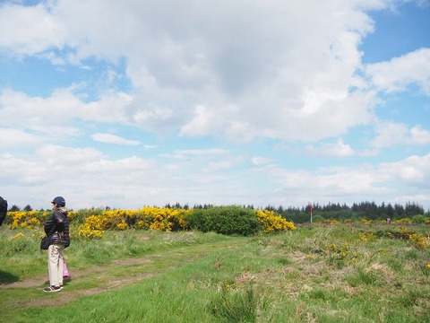 Scotland旅行20240514_112855P0806