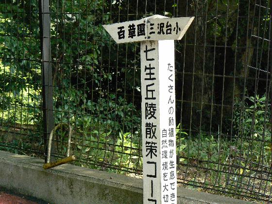 イメージ 10