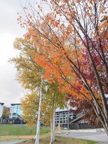 北海道旅行20251023_155045K0065