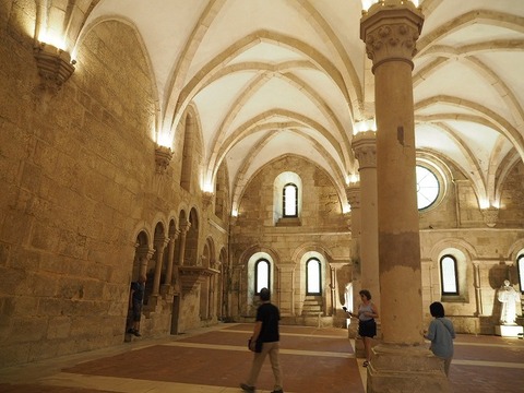 ポルトガル旅行20260608_104150P0851