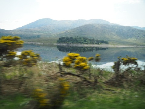 Scotland旅行20240516_143954P1693