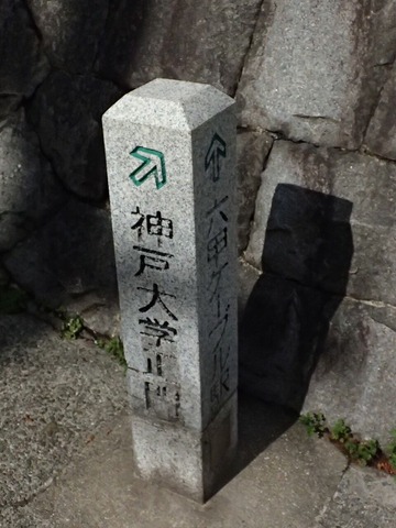 神戸旅行20230515_153456T0215ブログ