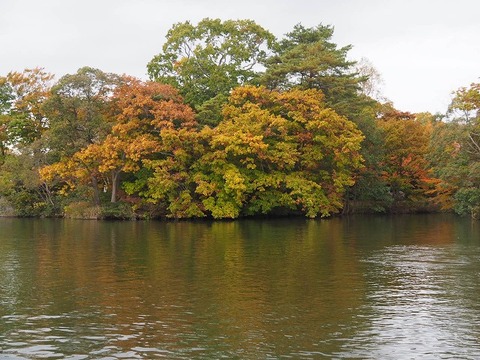 北海道旅行20251025_161038K0497
