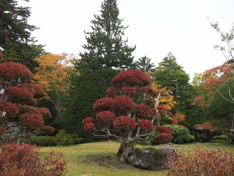 北海道旅行20251026_105743K0679