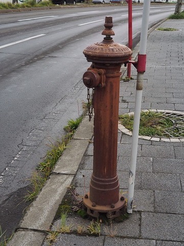 北海道旅行20251024_110848K0188