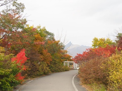 北海道旅行20251025_152845K0440