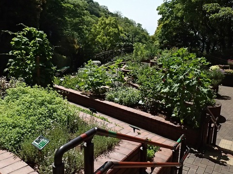 神戸旅行20230516_101002T0014