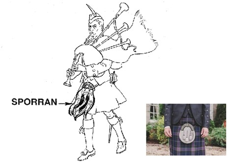Sporran拡大