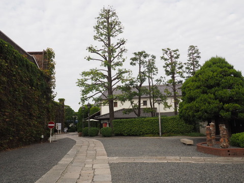 倉敷旅行20231006_080635P0607