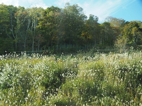 北海道旅行20251025_122824K0399