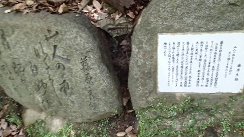 神戸旅行20230517_134157P0115