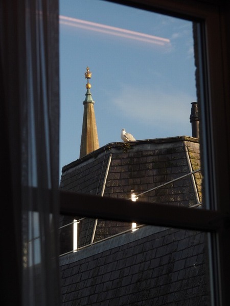 Scotland旅行20240518_193601P2253