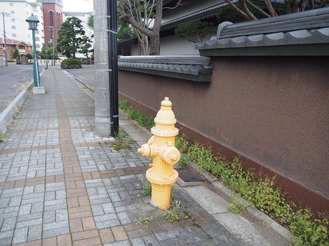 北海道旅行20251026_075729K0599