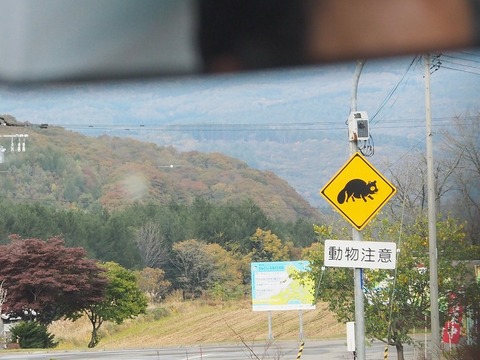 北海道旅行20251023_143220K0035