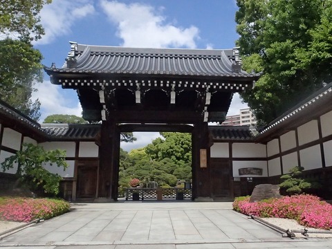 神戸旅行20230515_095716T0012ブログ