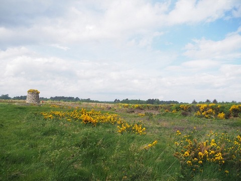 Scotland旅行20240514_112917P0807