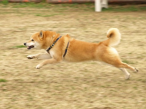 090227マザー牧場