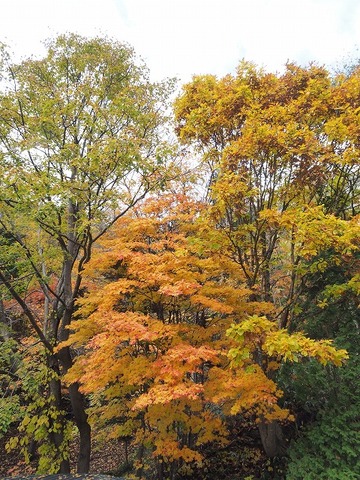 北海道旅行20251024_145227K0232