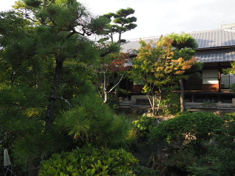 倉敷旅行20231004_161726P0244