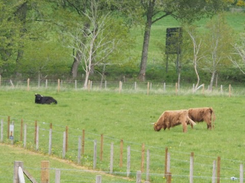 Scotland旅行20240513_115558P0635