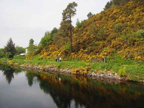 Scotland旅行20240513_110157P0575