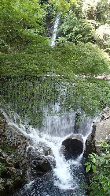 神戸旅行20230517_134437P0119