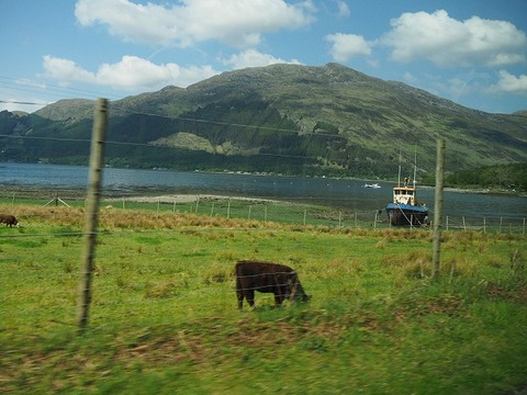 Scotland旅行20240516_145718P1700