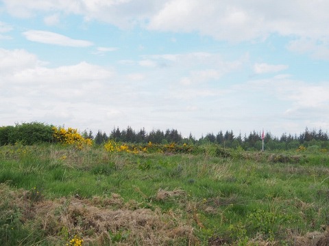 Scotland旅行20240514_112823P0804