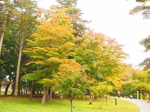 北海道旅行20251026_104810K0659