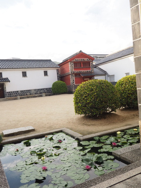 倉敷旅行20231004_162444P0250