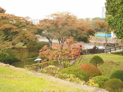 北海道旅行20251026_094641K0650