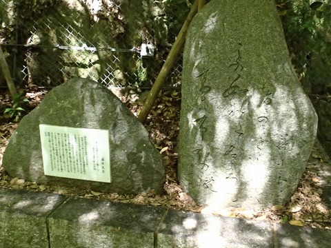 神戸旅行20230517_134311P0116ブログ