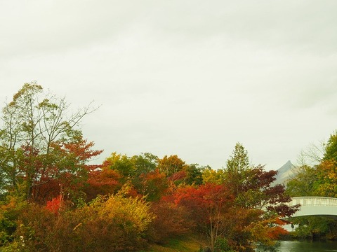 北海道旅行20251025_152757K0439