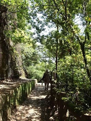 神戸旅行20230517_133843P0114ブログ