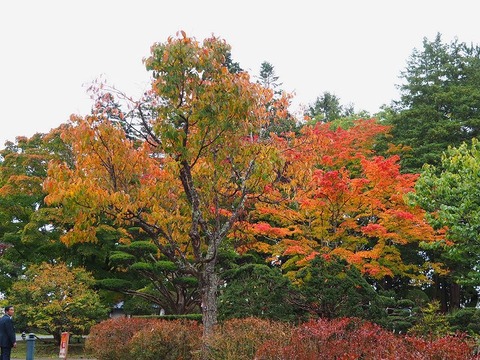 北海道旅行20251026_105050K0666r