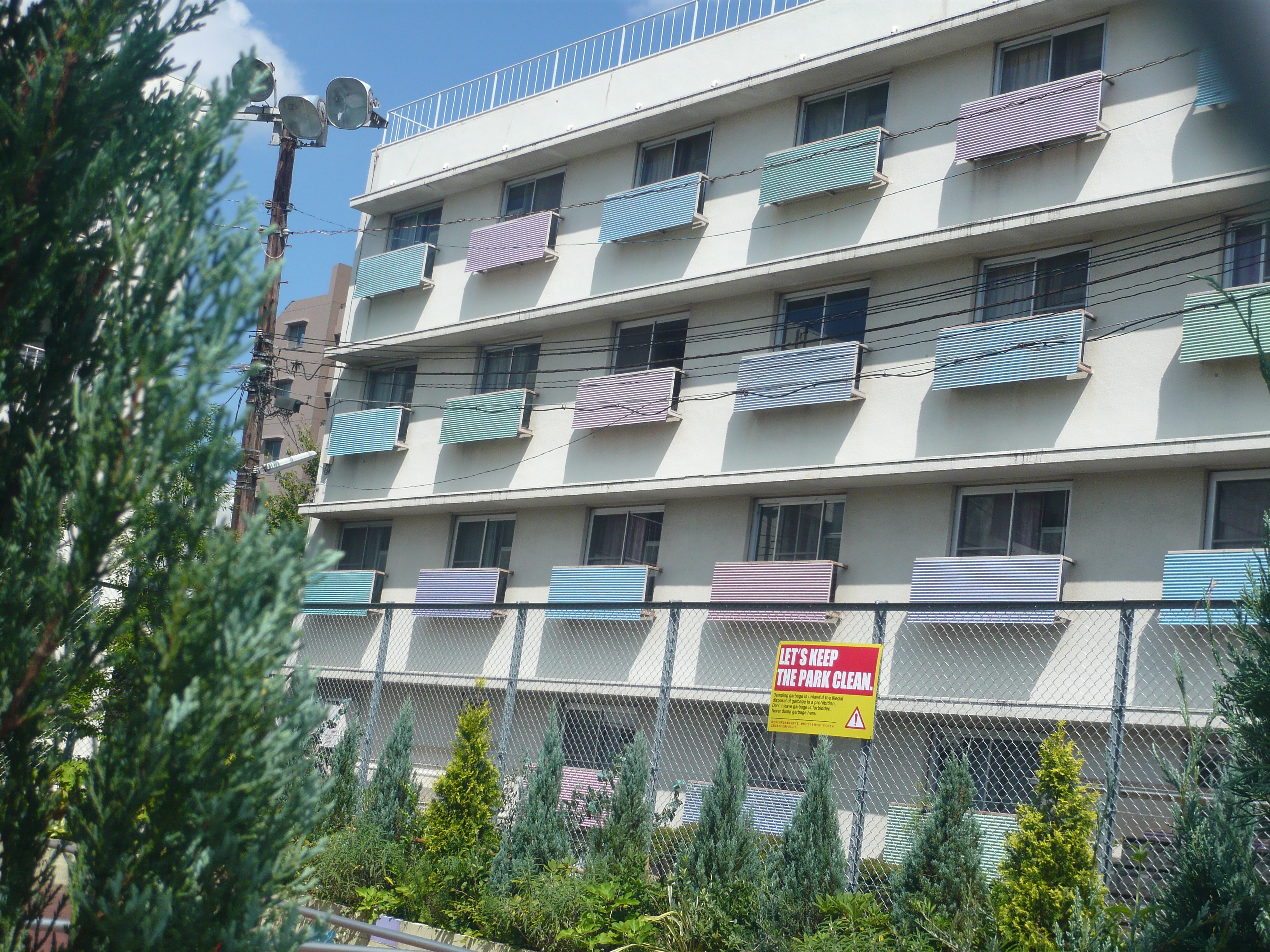 行ってきました たぴおかみるくてぃー