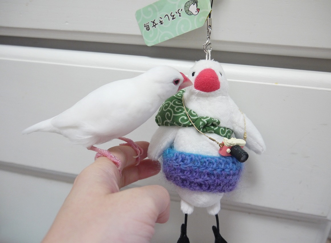 ぴーちゃんのお気に入りブランコ ぴーちゃんのお気に入りブランコ