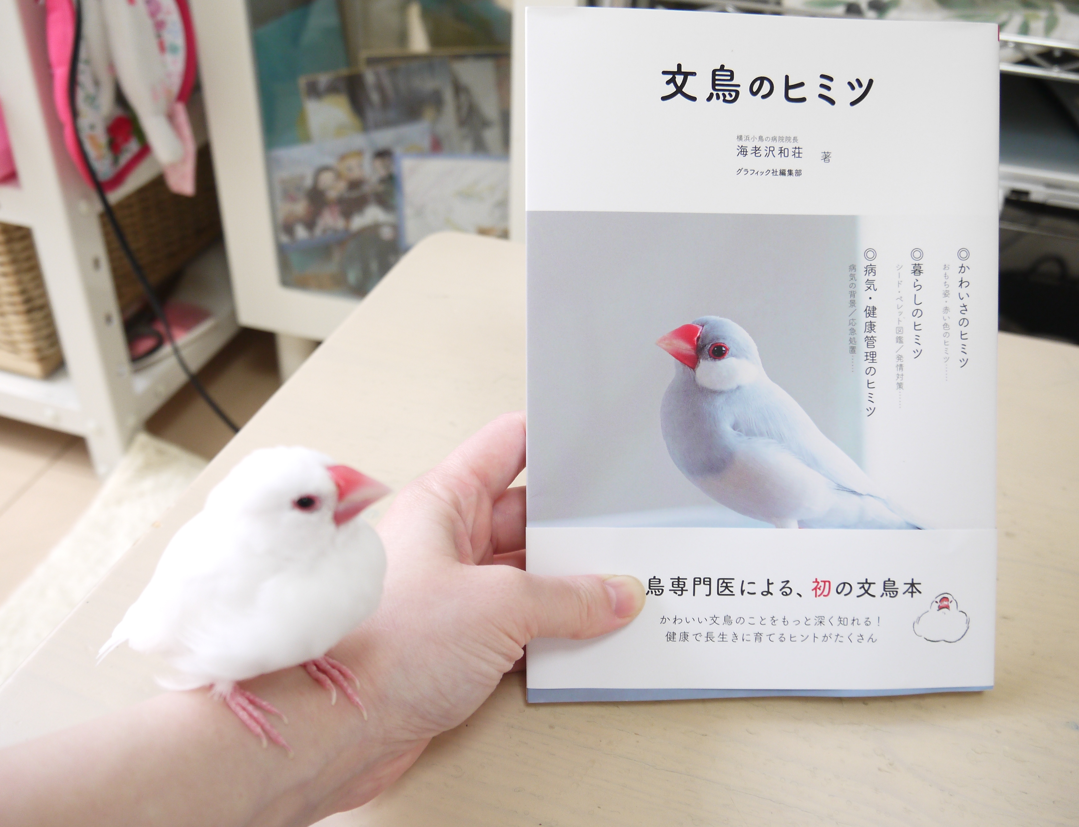 トヤフェス2021 : 白文鳥を育てよう