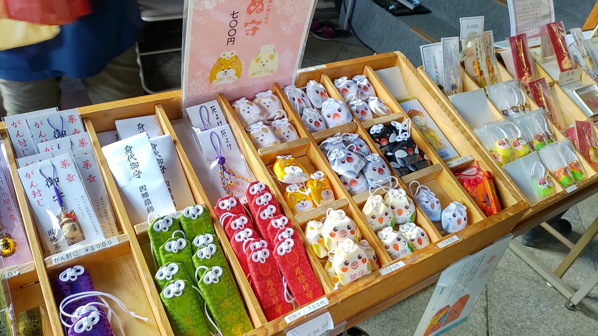 白文鳥・桜文鳥 2匹一緒」神奈川県 - 鳥の里親募集(410736