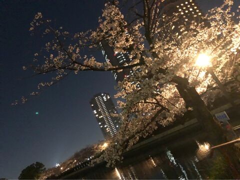 {07D04DDA-8FEA-459F-88D1-86D66C3D7502}