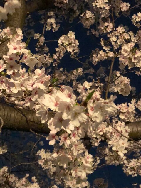 {0C47D922-DD3A-417B-8043-9345F0458D4F}