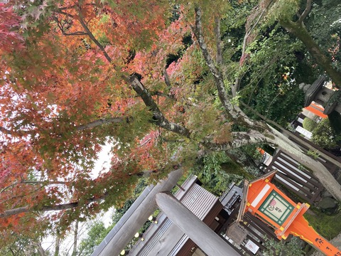 D8D88E09-E85A-4248-95C3-9CBCDB074CB0